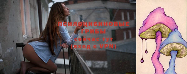 дурь Ладушкин