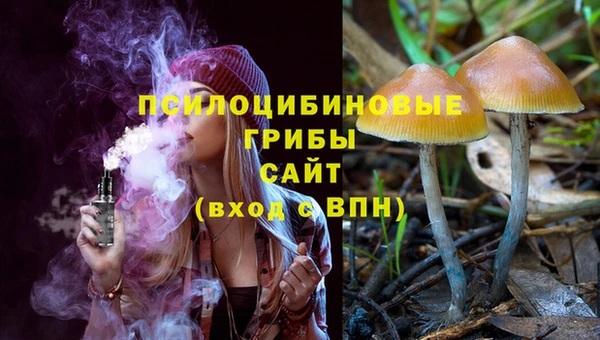 дурь Ладушкин
