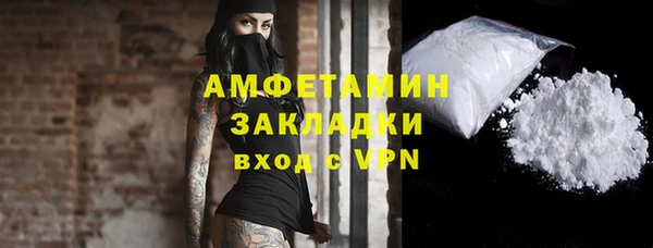 сатива Кулебаки