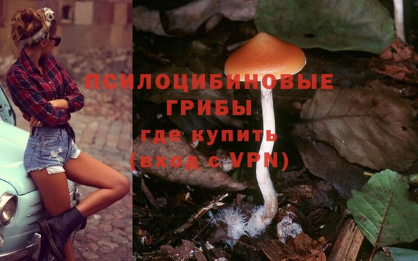 дмт Кукмор