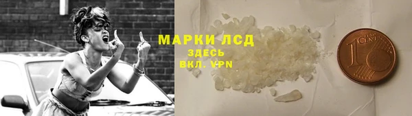 сатива Кулебаки